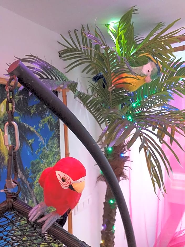 Wonder Paradisio Studio Nerja