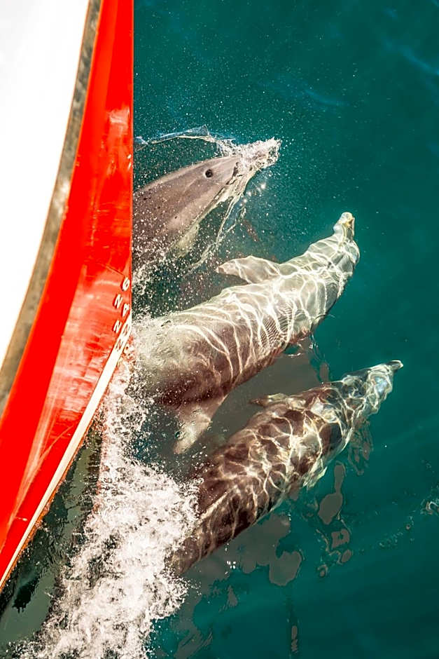 Bella Vista Motel Te Anau