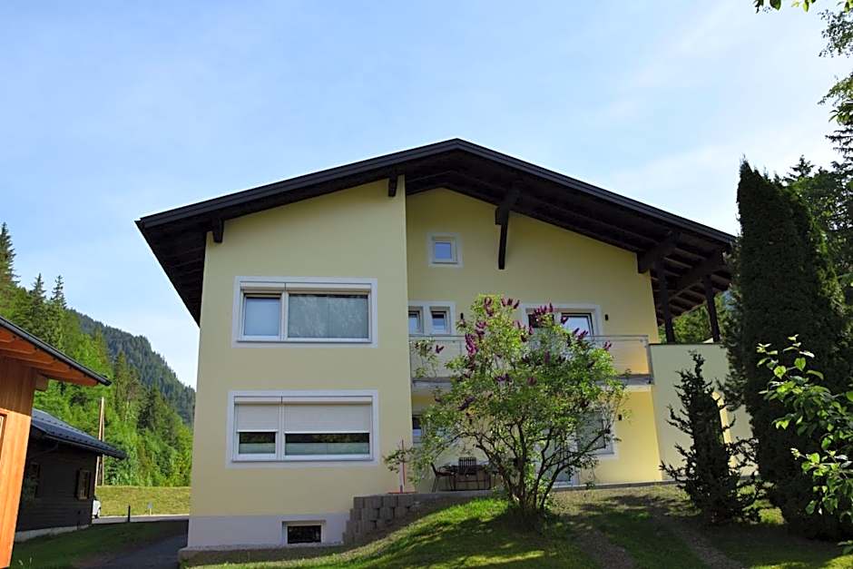 Appartement am Plansee