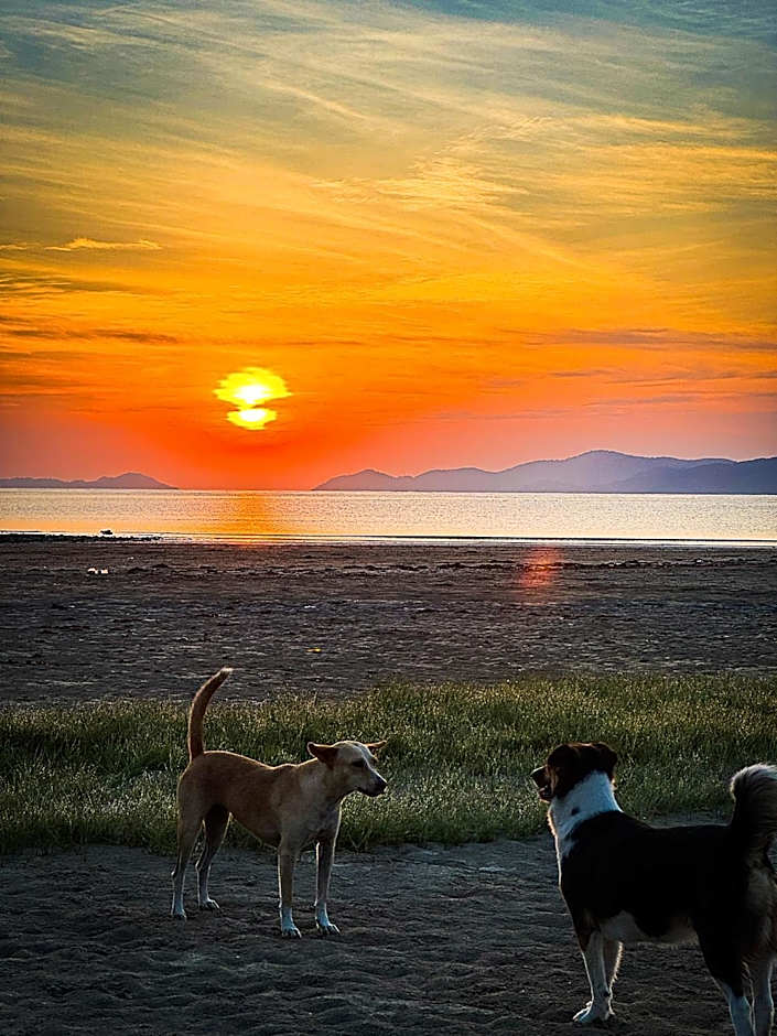 Kanipa Beach Glamping