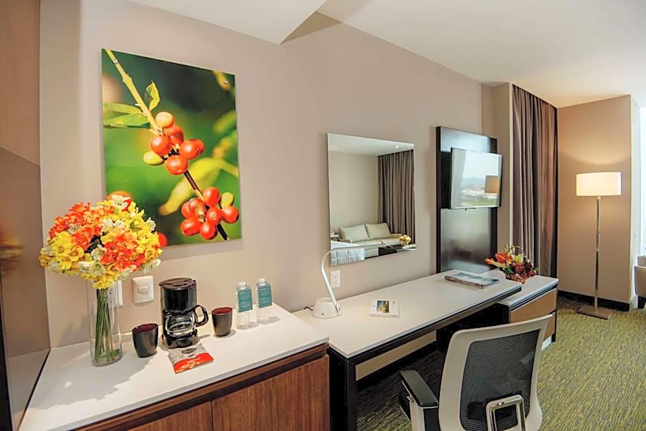 Hilton Garden Inn Puebla Angelopolis