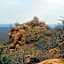 Limpokwena Nature Reserve