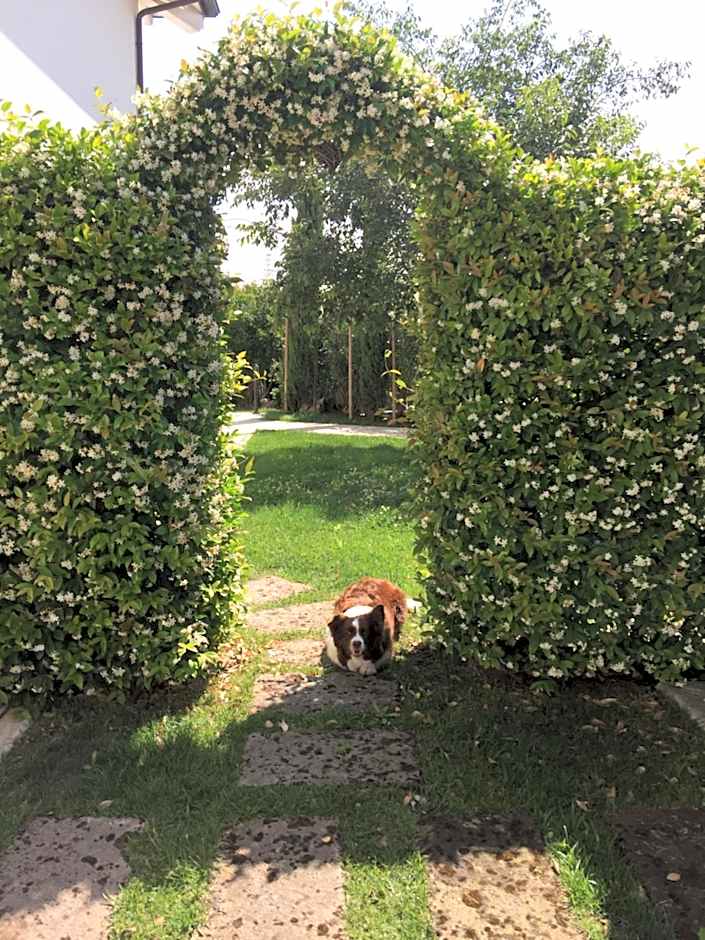 Bed & Breakfast Case Osti