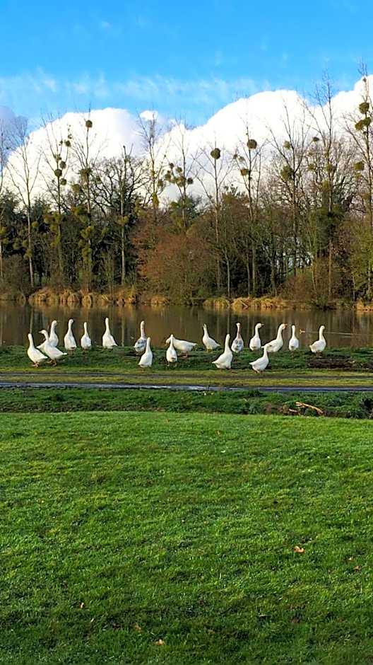 Cabanes et Studios à la Bernardiere