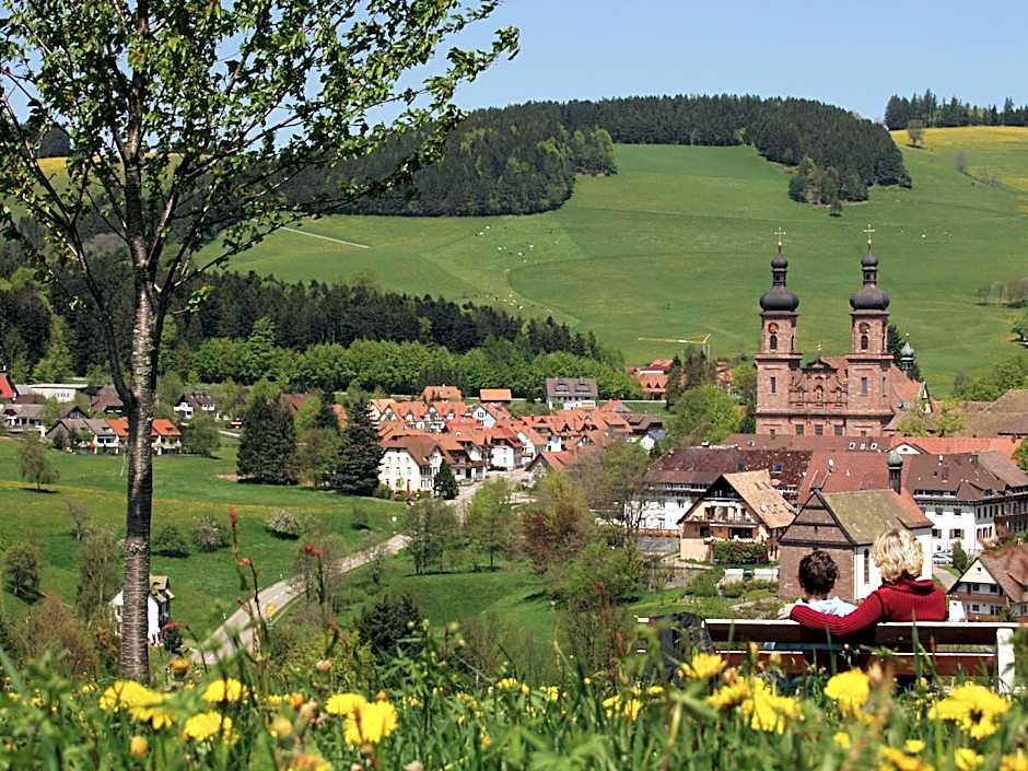 Hotel Hirschen