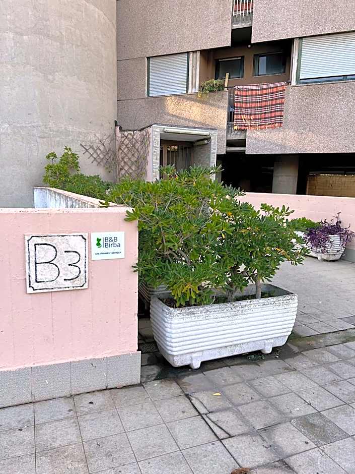 B&B Birba