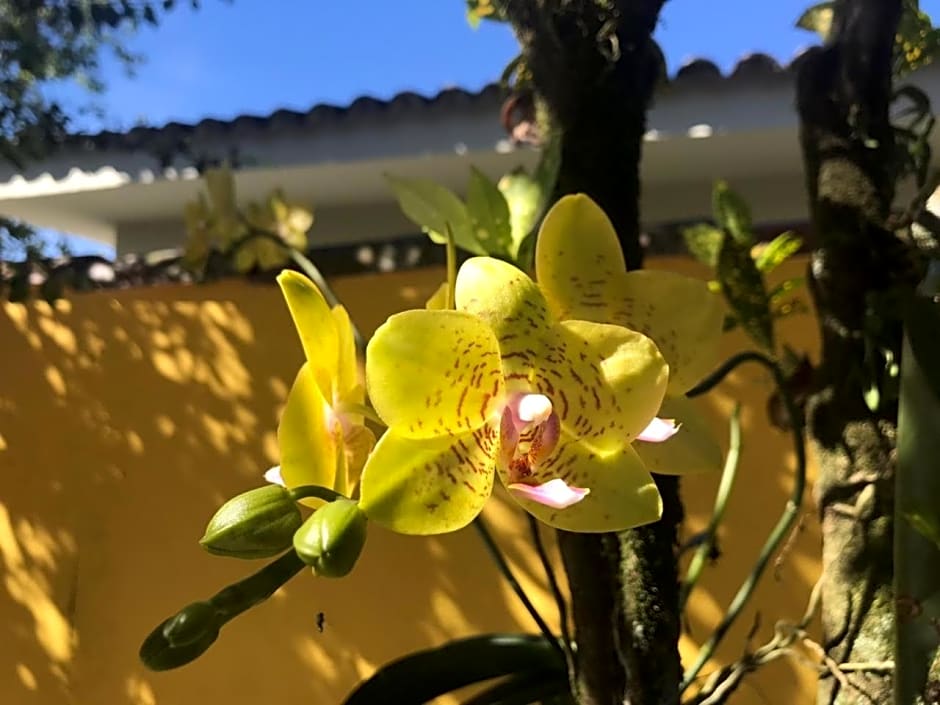 Canto das Orquídeas