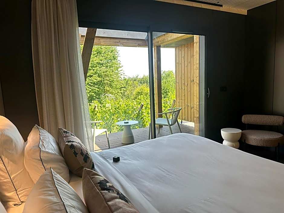 James Vignoble Hôtel, Eguisheim