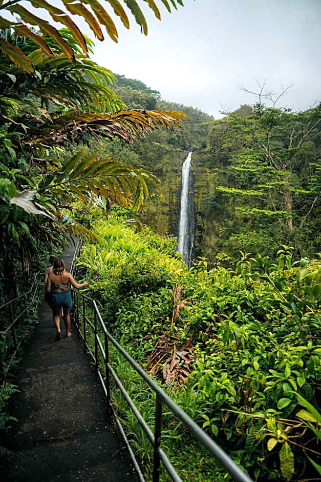 Howzit Hostels Hawaii