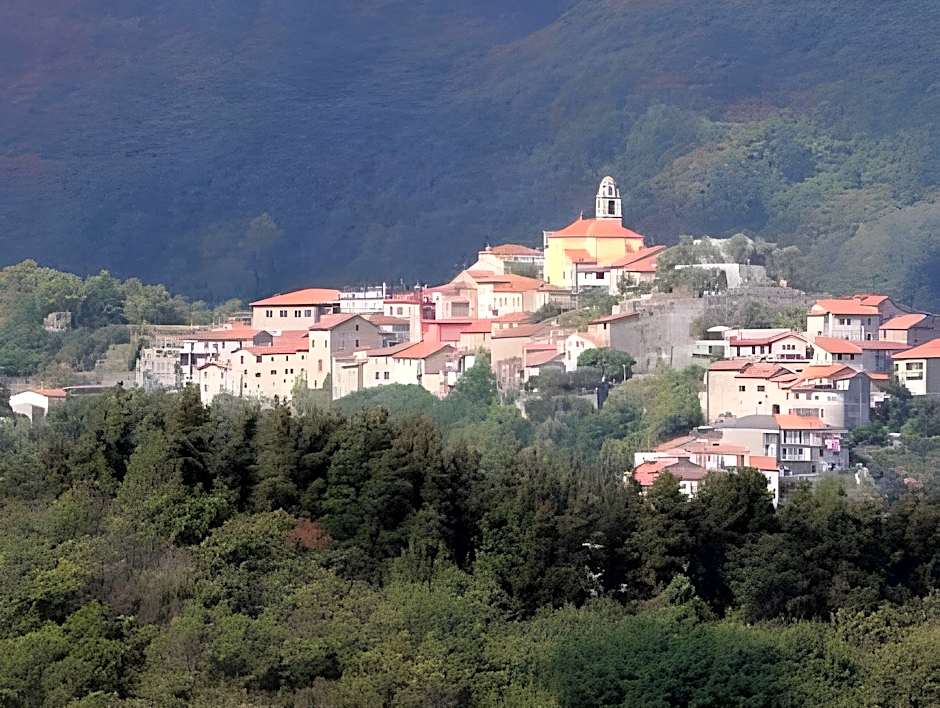 Park Hotel La Pineta