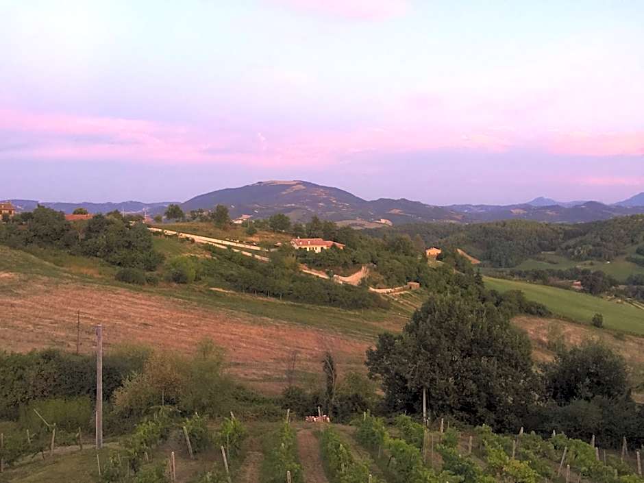 Green B&B Urbino Cá del vento