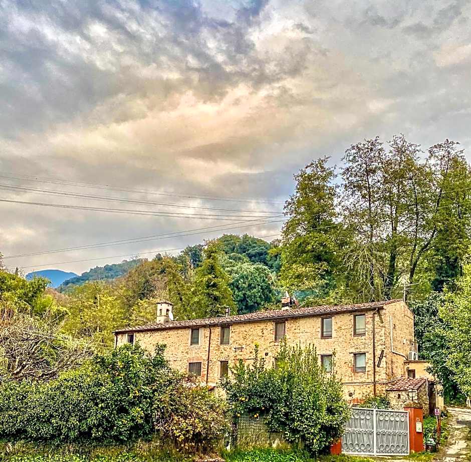 Guest House Antico Frantoio Pietrasanta Affittacamere