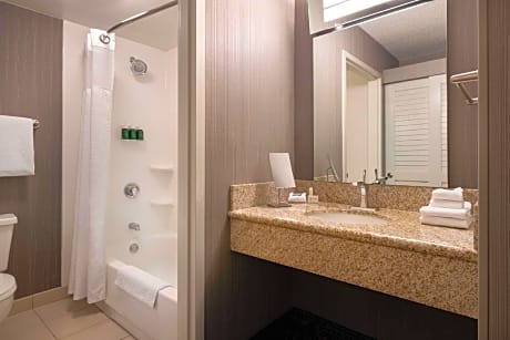 One-Bedroom Queen Suite