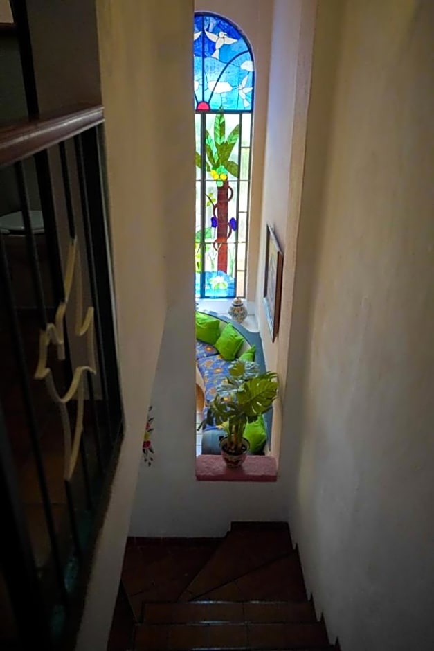My Local Home Vallarta