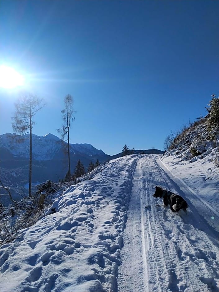 Baita Zeni Tirolerhof