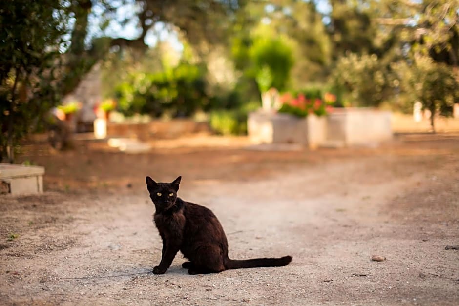 Masseria Fracchicchi