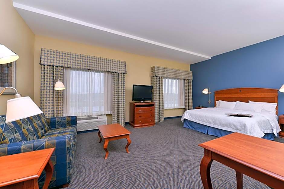 Photo 1 of 5 of 1 King Bed with Sofabed