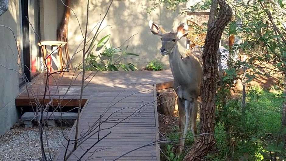 Call of the Wild Lodge