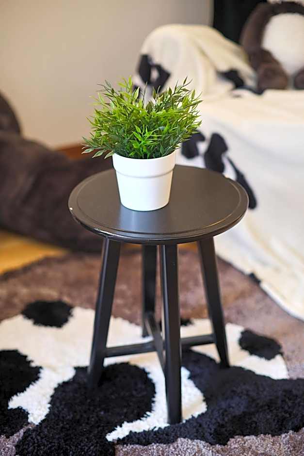 TORA HOTEL Tokyo Ueno 寅ホテル 上野 D