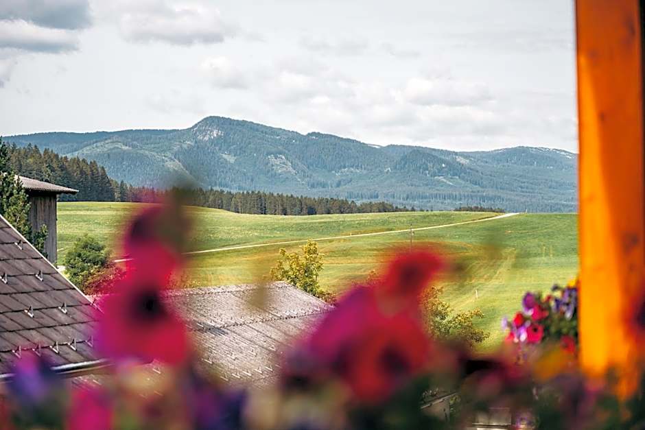 Wander- und Wellnesshotel Kanzler