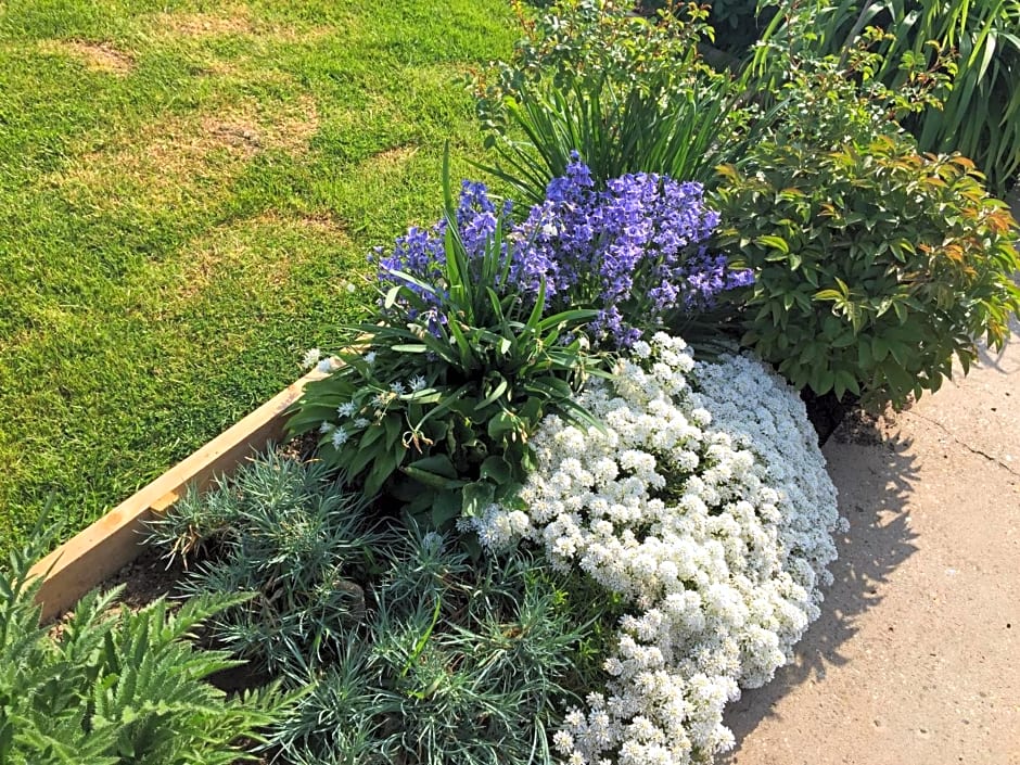 Les Chambres de Paule