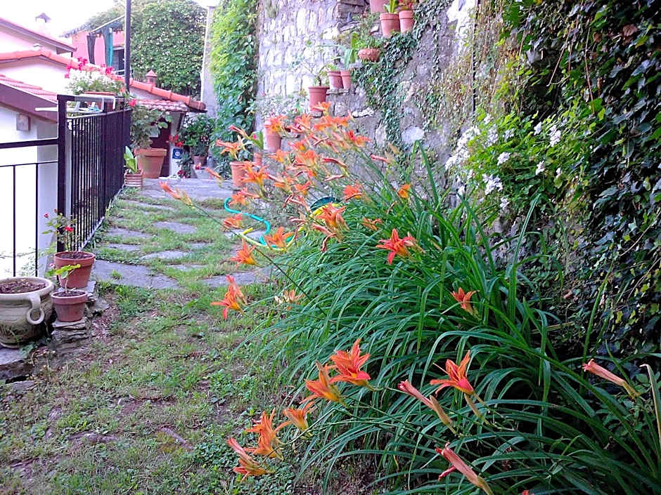 B&B I Glicini