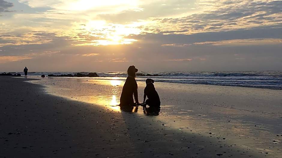 Folly Vacation 620 apartment w/bonus room, one block to the beach & pet friendly