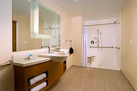 Studio, 1 King Bed with Sofa bed (Mobility Accessible, Tub) (1 King Bed and 1 Double Sofa Bed)