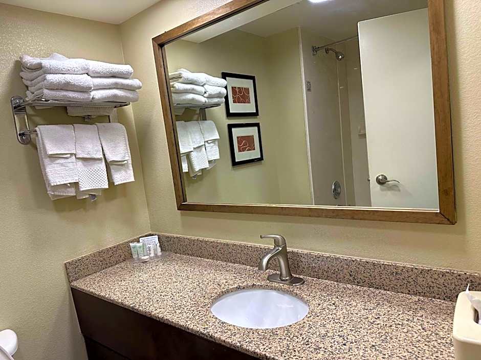 Vista Suites Near Island and Leconte Convention Center