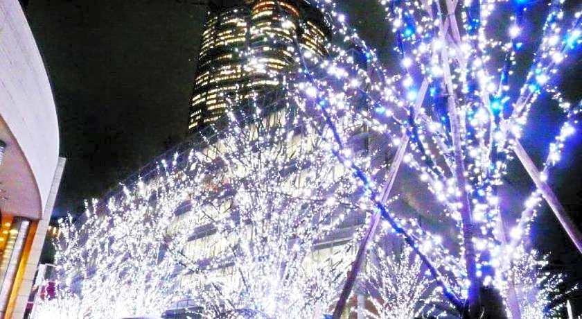 Hotel Wing International Shimbashi Onarimon