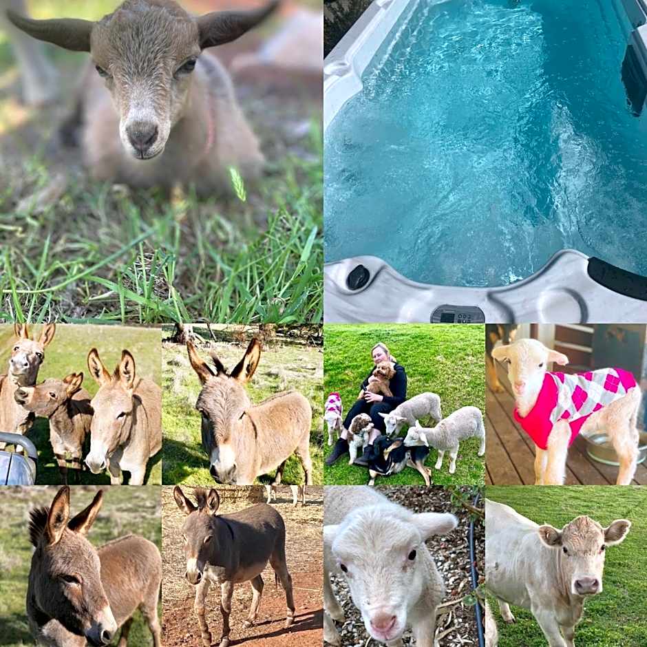 Sandalwood Downs Fabulous Farm Stay TOODYAY