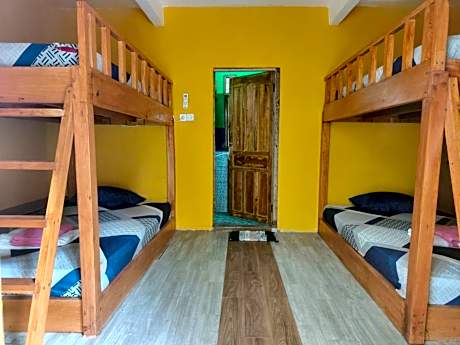 Bunk Bed in Female Dormitory Room