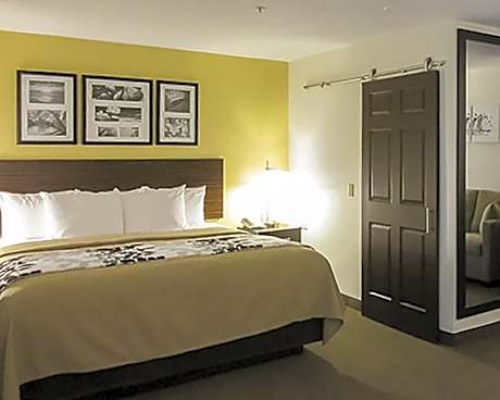 Queen Suite with Sofa Bed