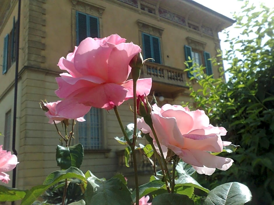 Marta Guest House