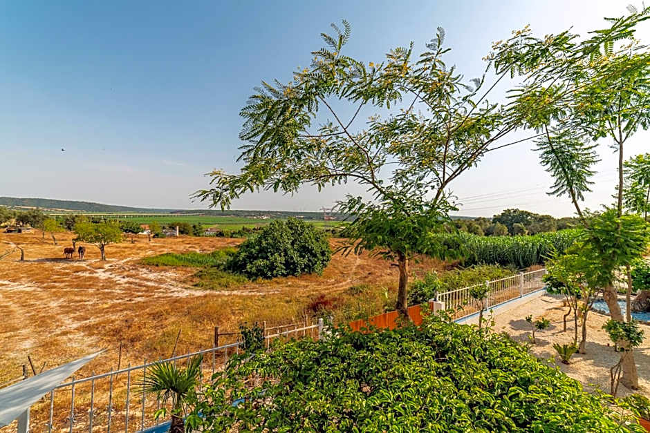 4Ever Palace Design&Nature