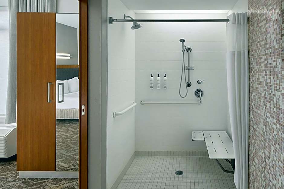 SpringHill Suites by Marriott Detroit Metro Airport Romulus