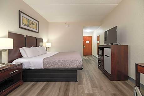 1 King Bed, Suite, Nonsmoking, Upgrade