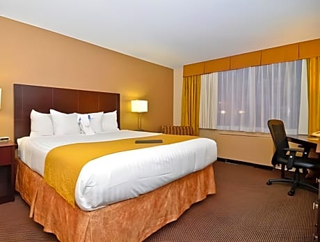 1 Bedroom King Suite