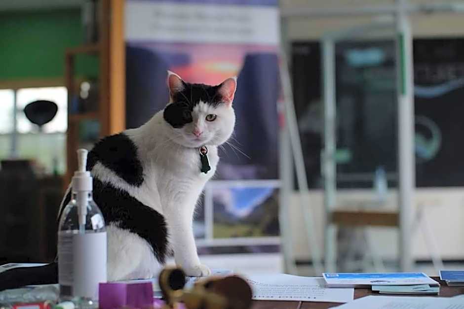 Out East Hostels - Rocky Harbour