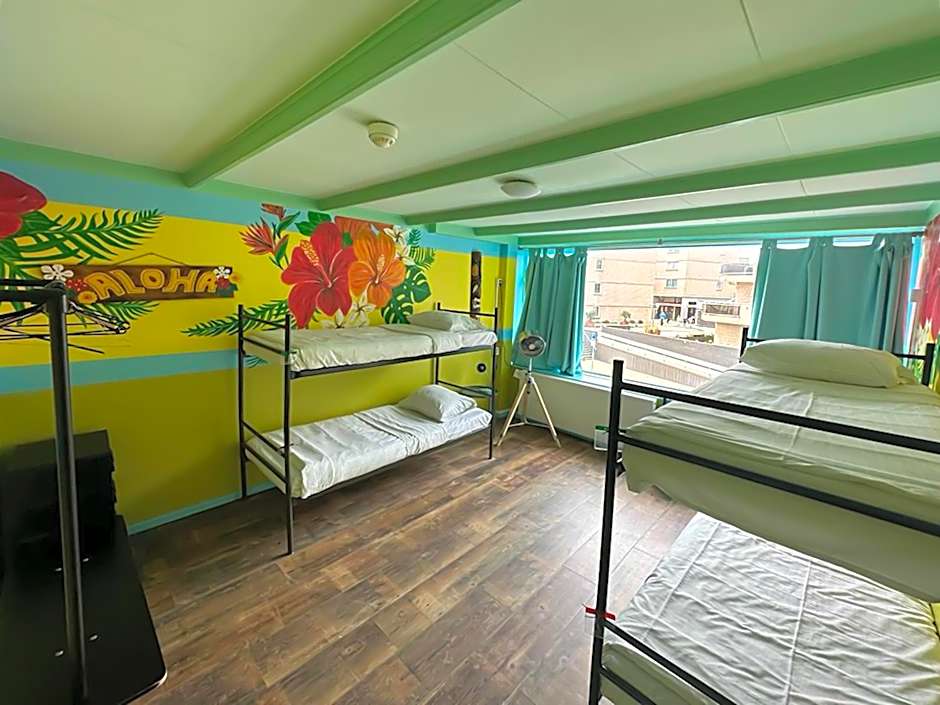 The Flying Pig Beach Hostel Age 18 to 40