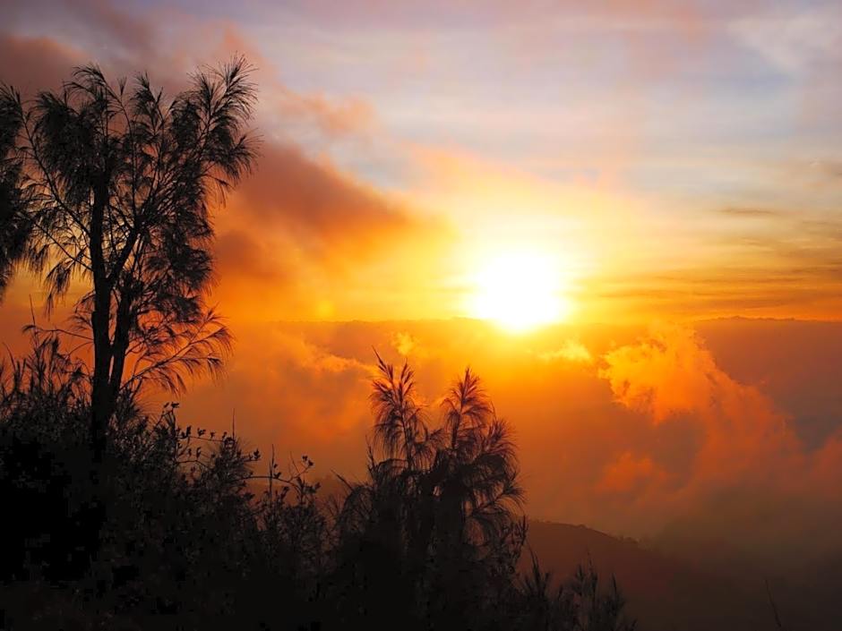 Second Home Bungalows