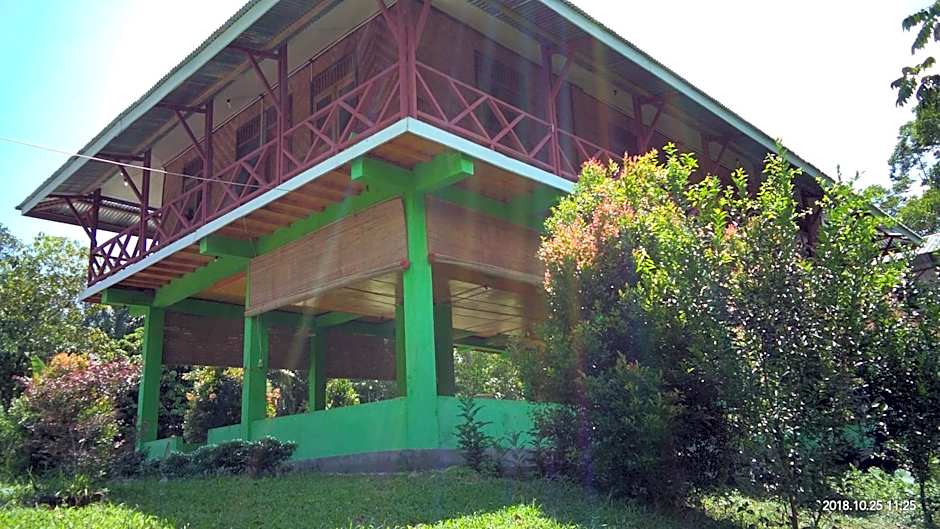 Green Forest Tangkahan