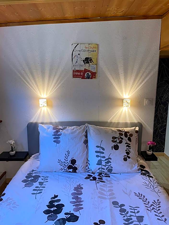 Péniche Le Pescalune - Chambre d'hôtes