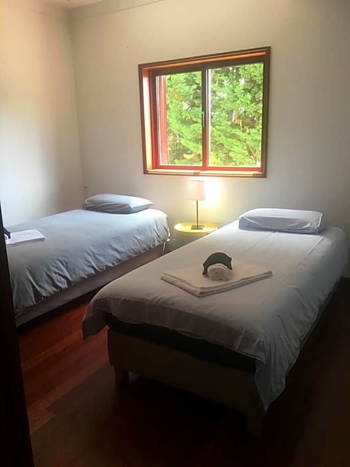 Catloc & Kitcat Alojamento Local