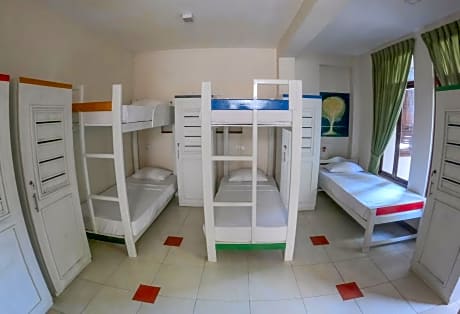 Mixed Dormitory Room