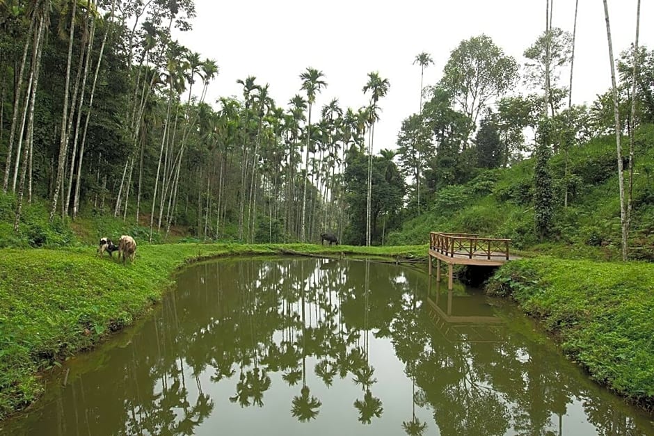 After the Rains - Rainforest Lodge