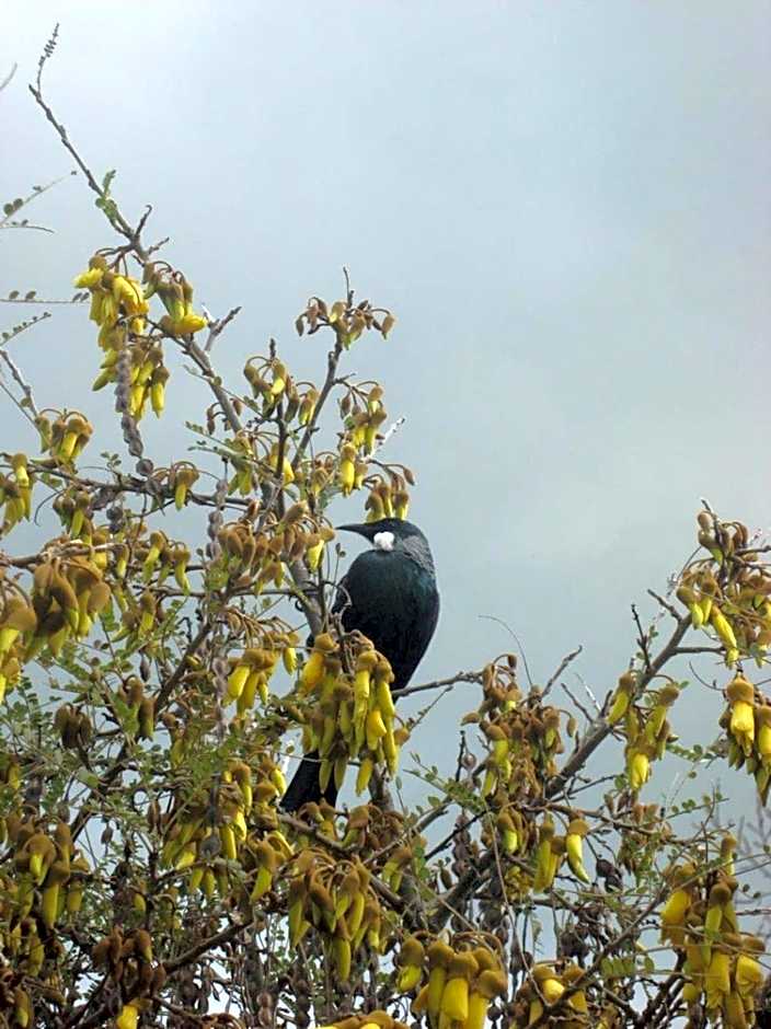 Warkworth Country House