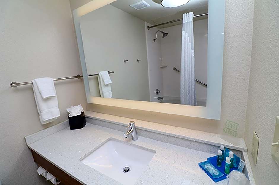 Holiday Inn Express Hotel & Suites Greenville By IHG