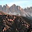 Forestis Dolomites