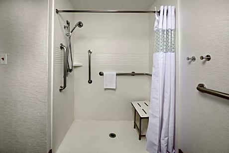 1 King Accessible Roll In Shower Non-Smoking